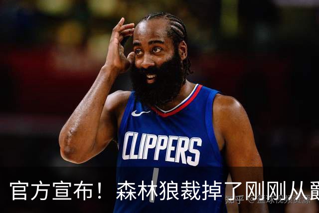 官方宣布！森林狼裁掉了刚刚从爵士加盟的前灰熊侧翼老将？